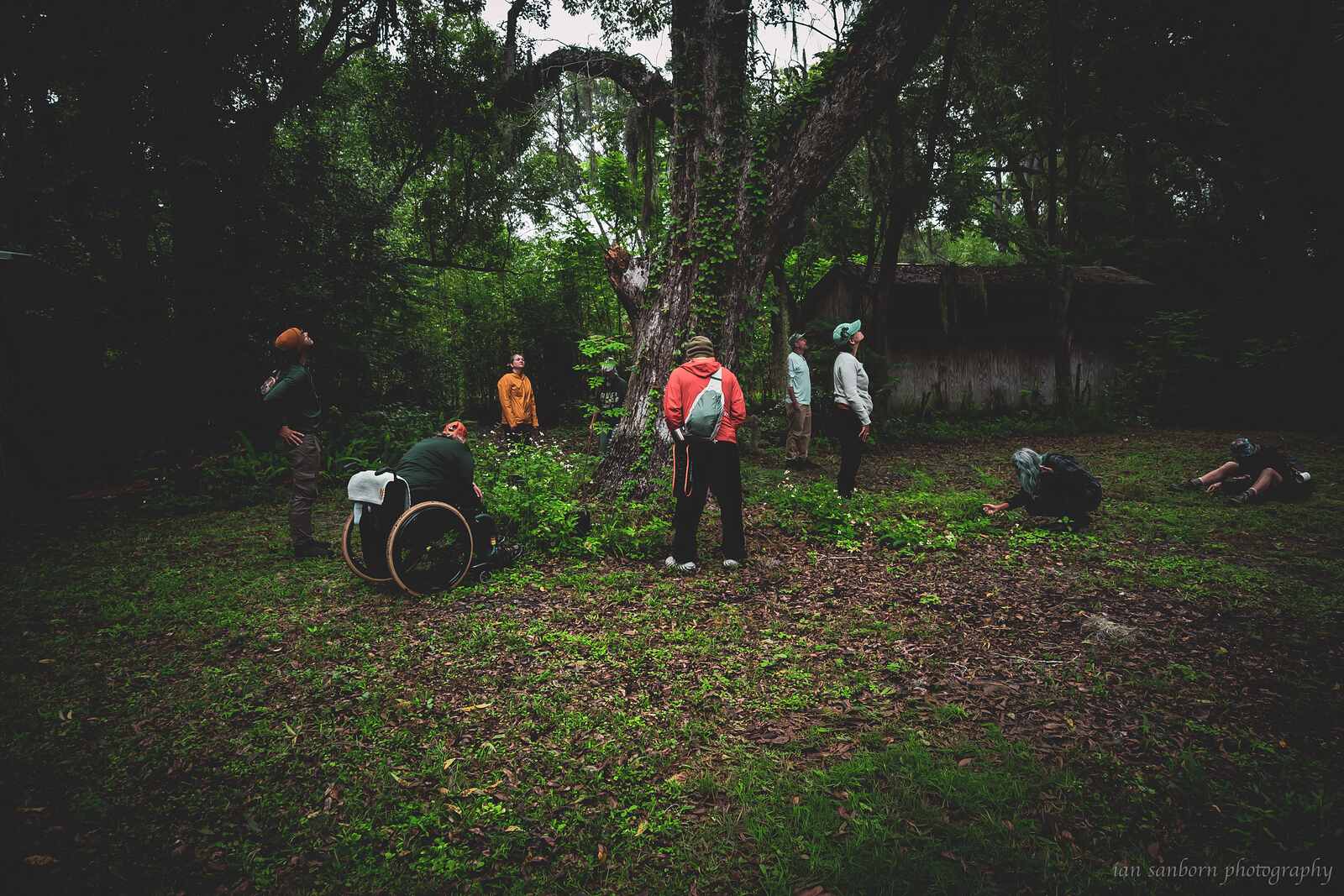 A group gathers loosely around a large mossy tree in a clearing, some standing, one seated in a wheelchair, others crouched in the grass.