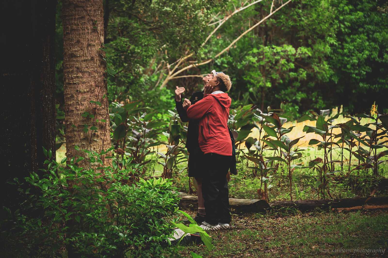 A person in a red jacket stands beside a palm trunk with an arm raised and head tilted back toward the branches overhead.
